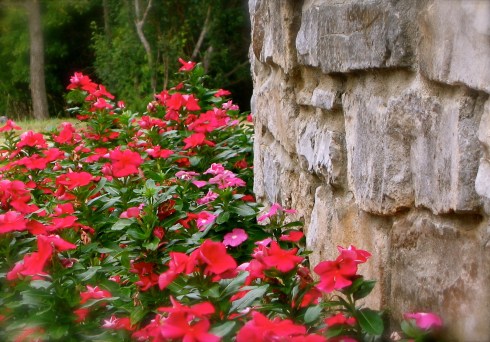 photo by Patty Perkins