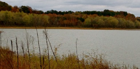 Barren River Lake (photo by Patty Perkins)