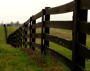 Kentucky (photo by Patty Perkins)