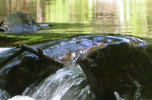 Indiana's Cool Creek (photo by Patty Perkins)
