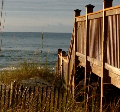 The Ocean (photo by Patty Perkins)