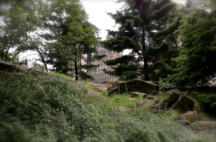 Central Park, NYC (photo by Patty Perkins)