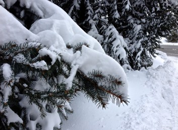 A snowy winter in Indiana (photo by Patty Perkins)